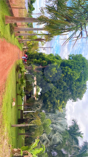 Foto REO1103724