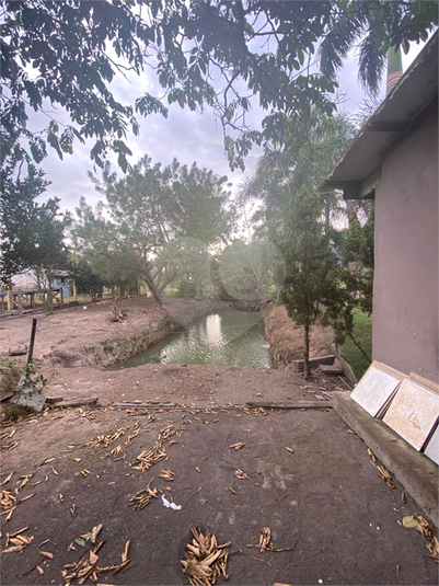 Foto REO1103724