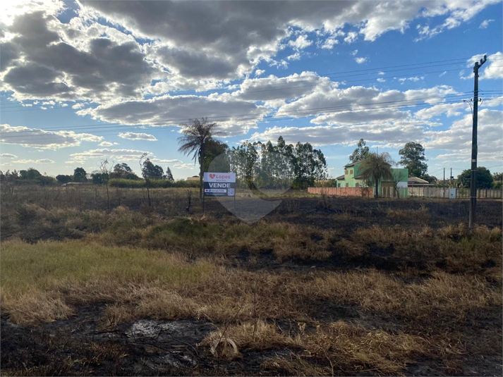 Foto REO1103727