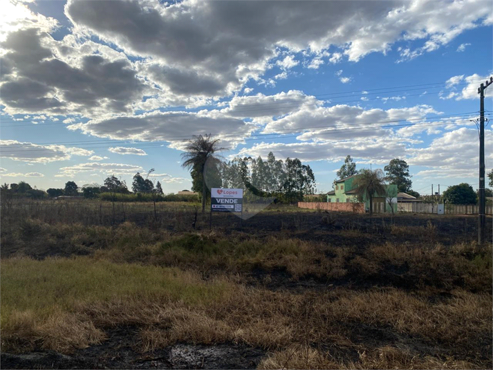 Foto REO1103727
