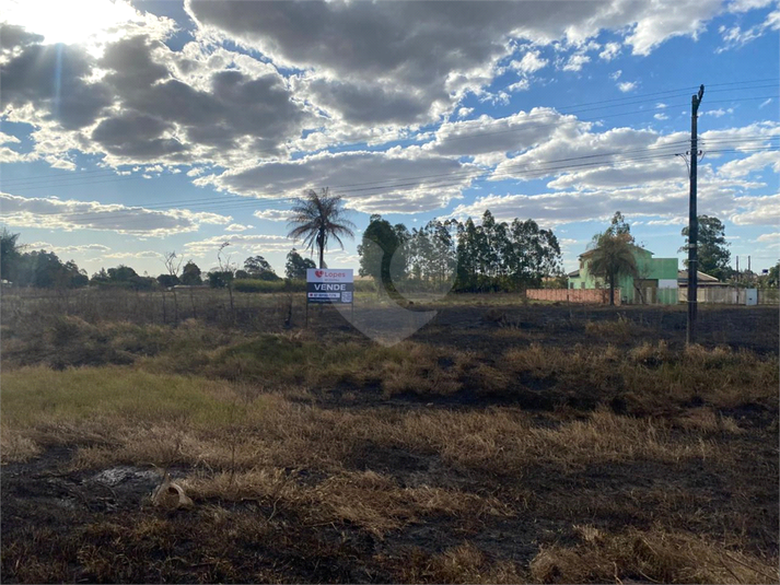 Foto REO1103727