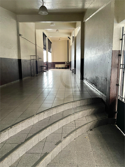 Foto REO1103737