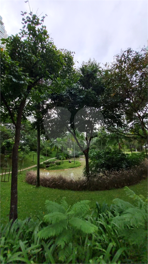Foto REO1103739