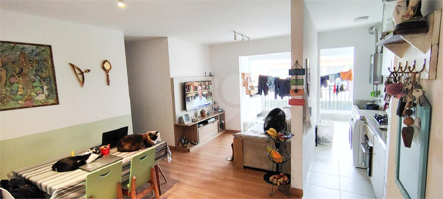 Foto REO1103741
