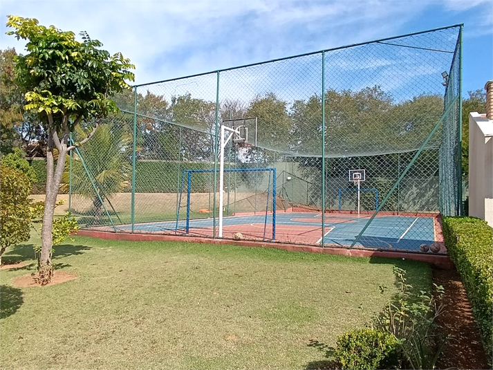 Foto REO1103754