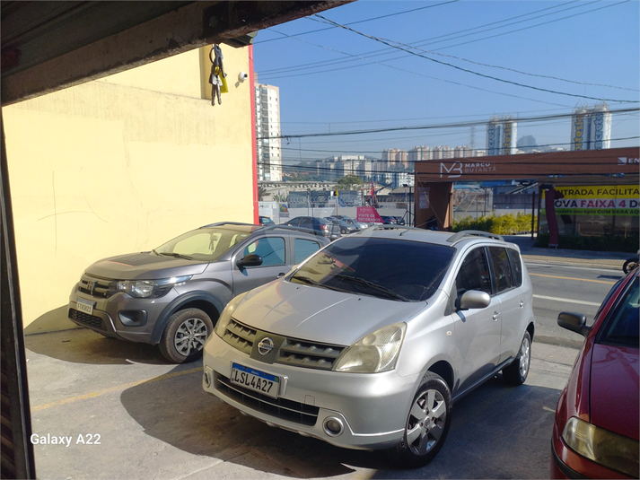 Foto REO1103763
