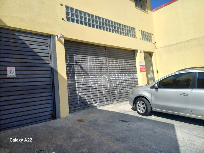 Foto REO1103763