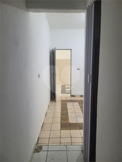 Foto REO1103769
