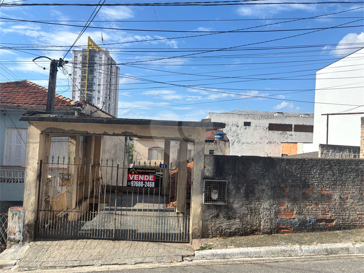 Foto REO1103774