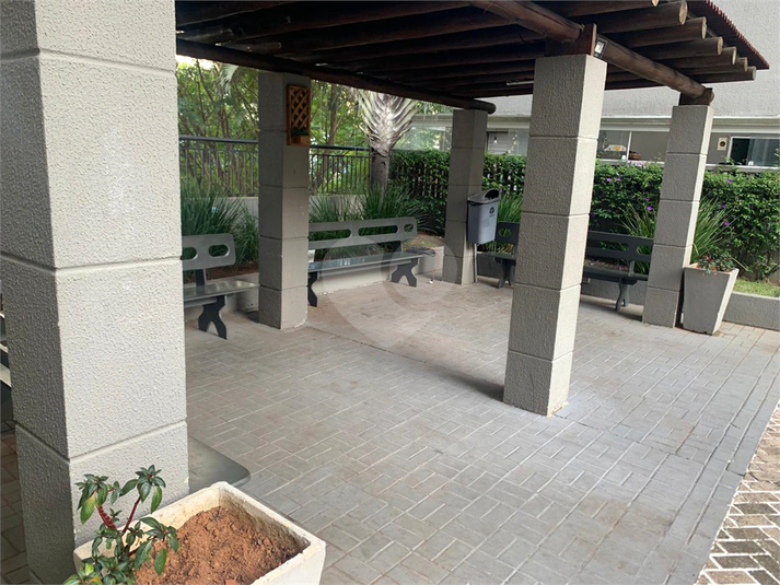 Foto REO1103786