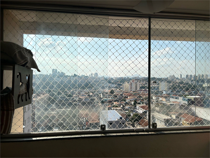 Foto REO1103796