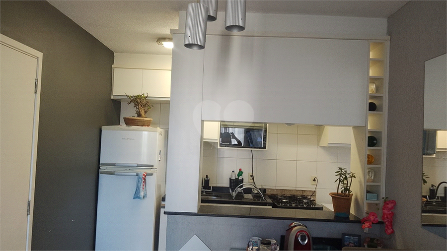 Foto REO1103797