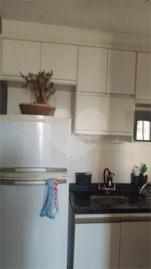 Foto REO1103797