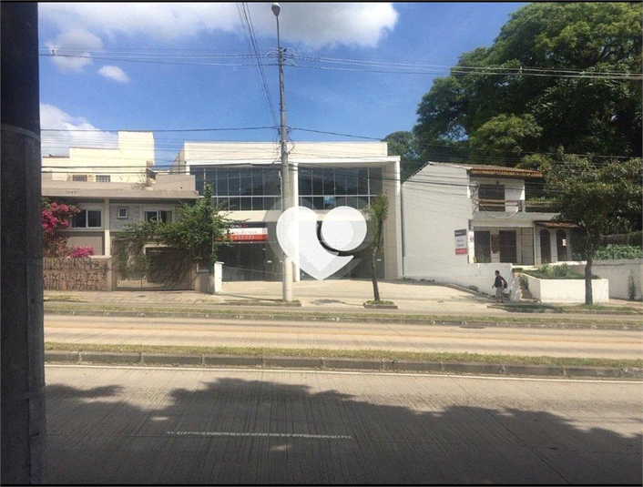 Foto REO1103810