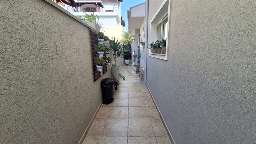 Foto REO1103813