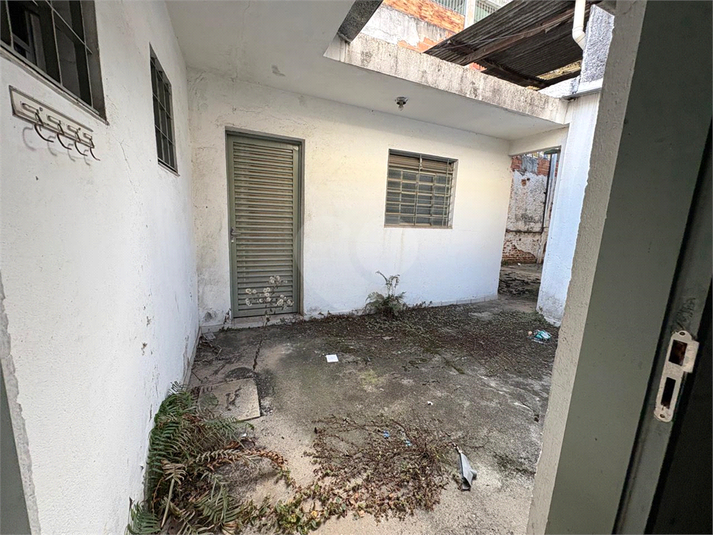 Foto REO1103818