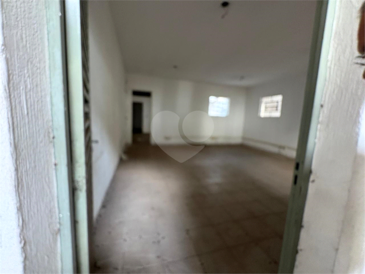 Foto REO1103818