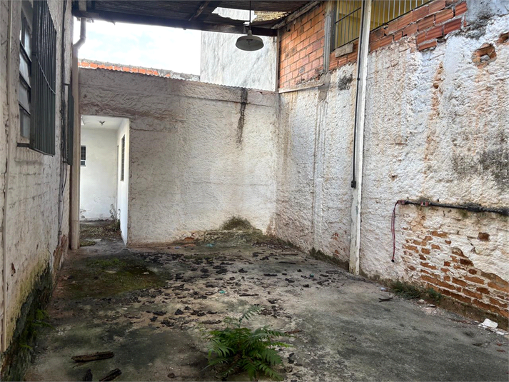 Foto REO1103818