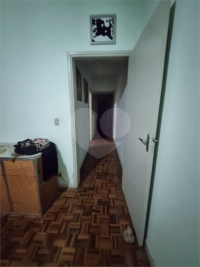 Foto REO1103826