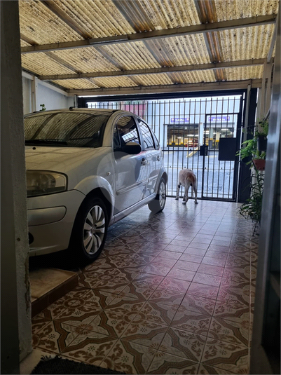 Foto REO1103826