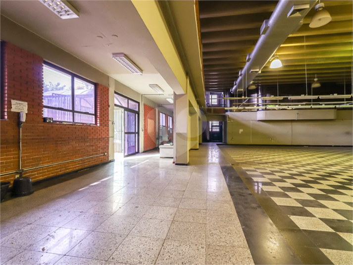 Foto REO1103837