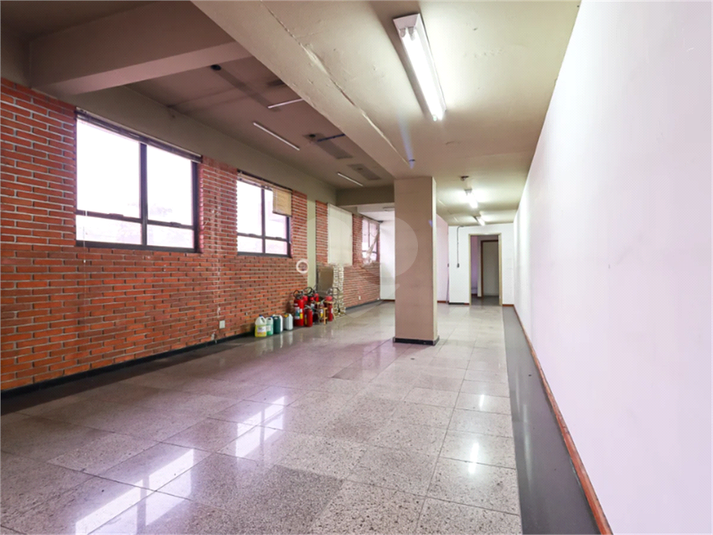 Foto REO1103837