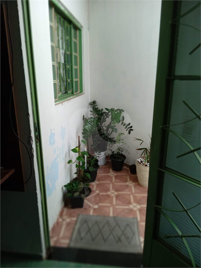 Foto REO1103838