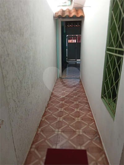 Foto REO1103838