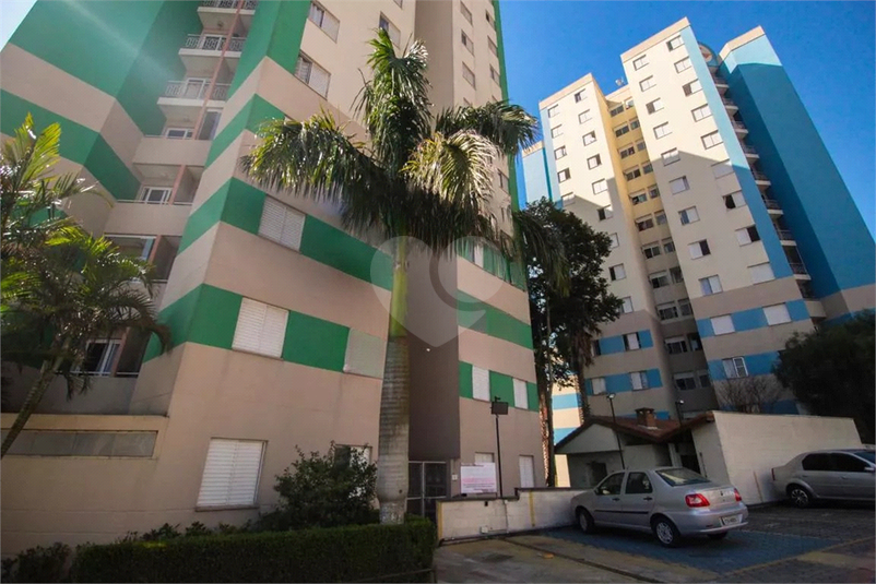 Foto REO1103840