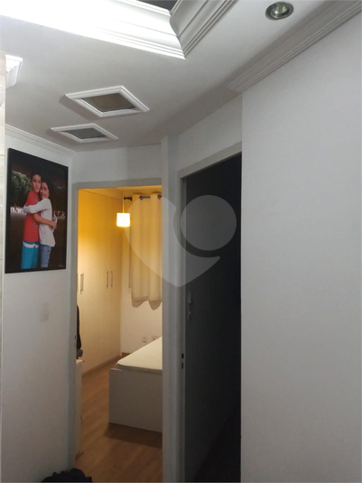 Foto REO1103840