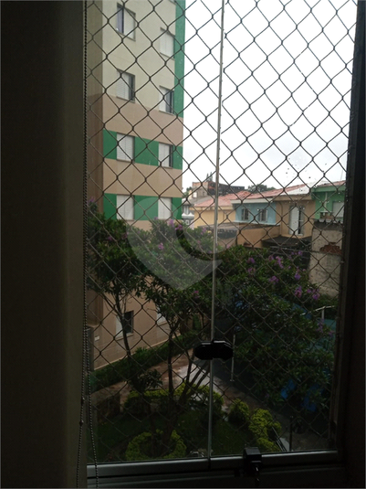 Foto REO1103840