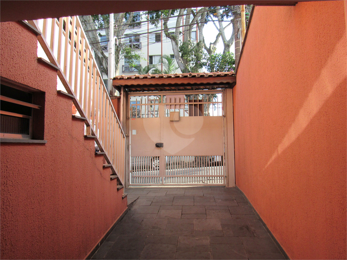 Foto REO1103844