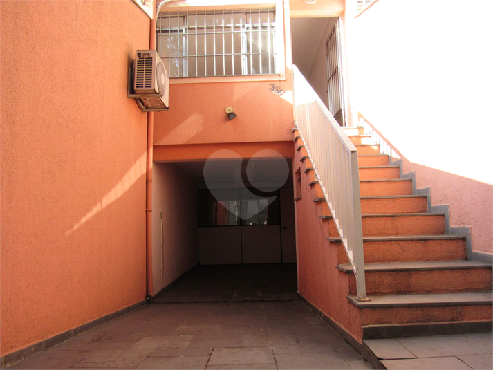 Foto REO1103844