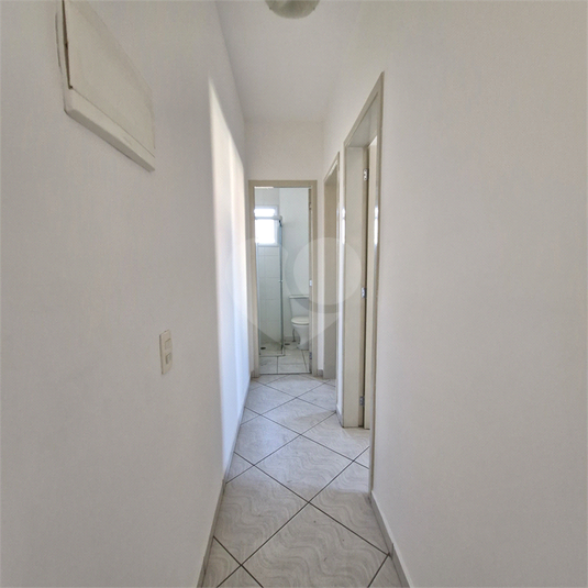 Foto REO1103851