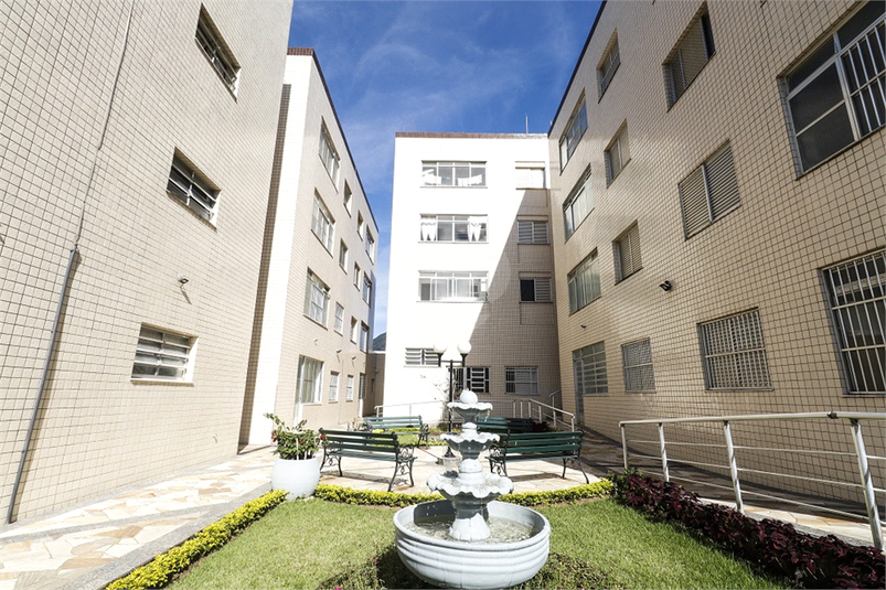 Foto REO1103852