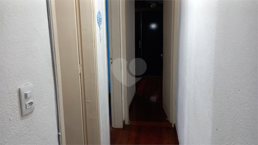 Foto REO1103859