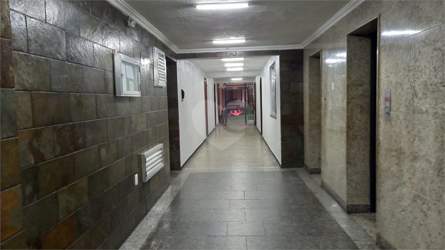 Foto REO1103859