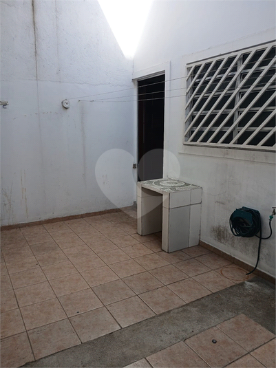 Foto REO1103860