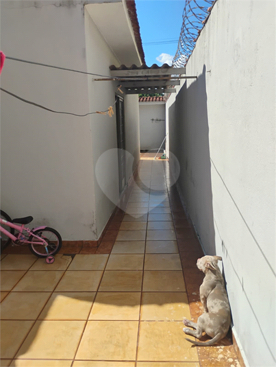 Foto REO1103874