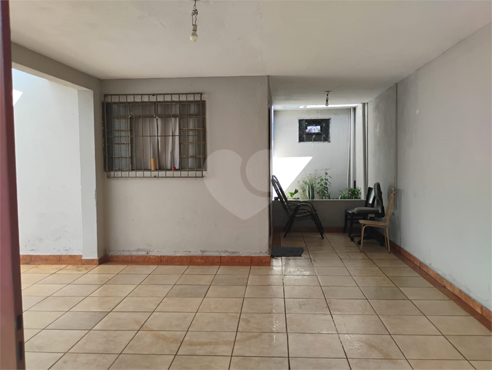 Foto REO1103874