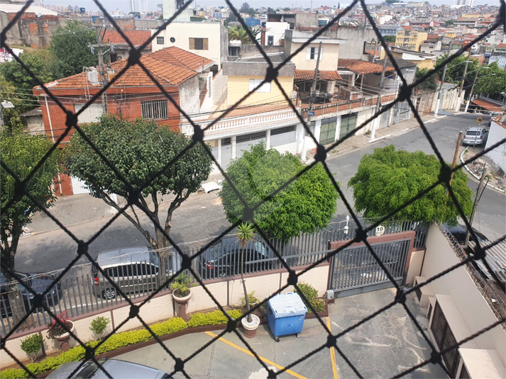 Foto REO1103875