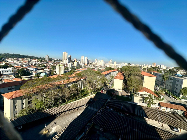 Foto REO1103879