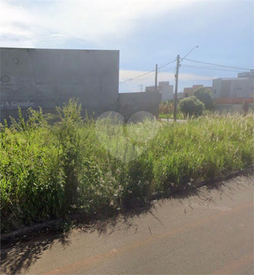 Foto REO1103882
