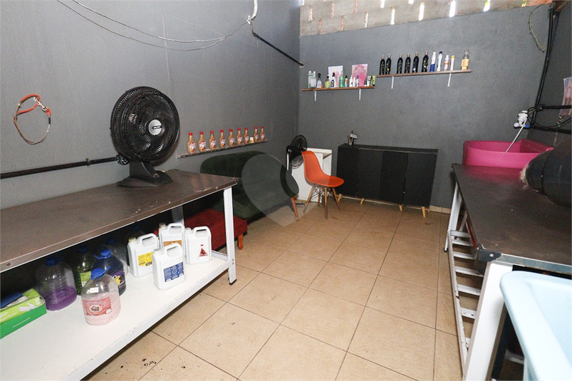 Foto REO1103904