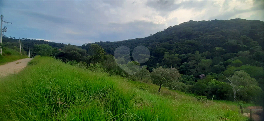 Foto REO1103909