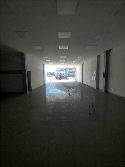 Foto REO1103928