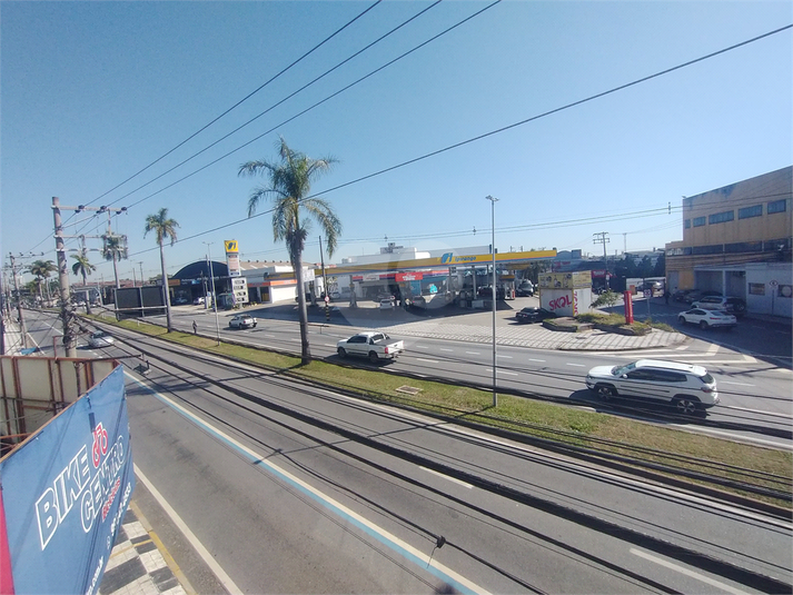Foto REO1103928