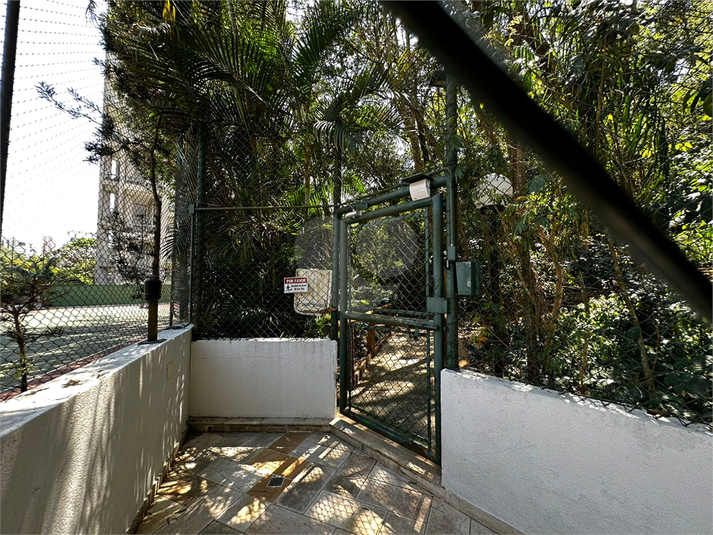 Foto REO1103942