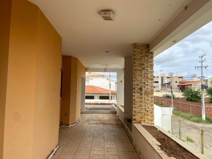 Foto REO1103944