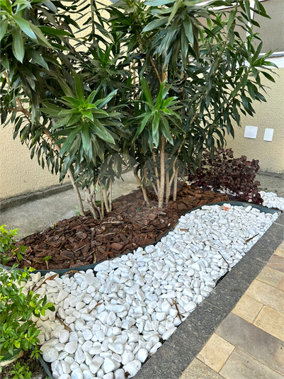 Foto REO1103947